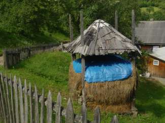 DSC09174.JPG